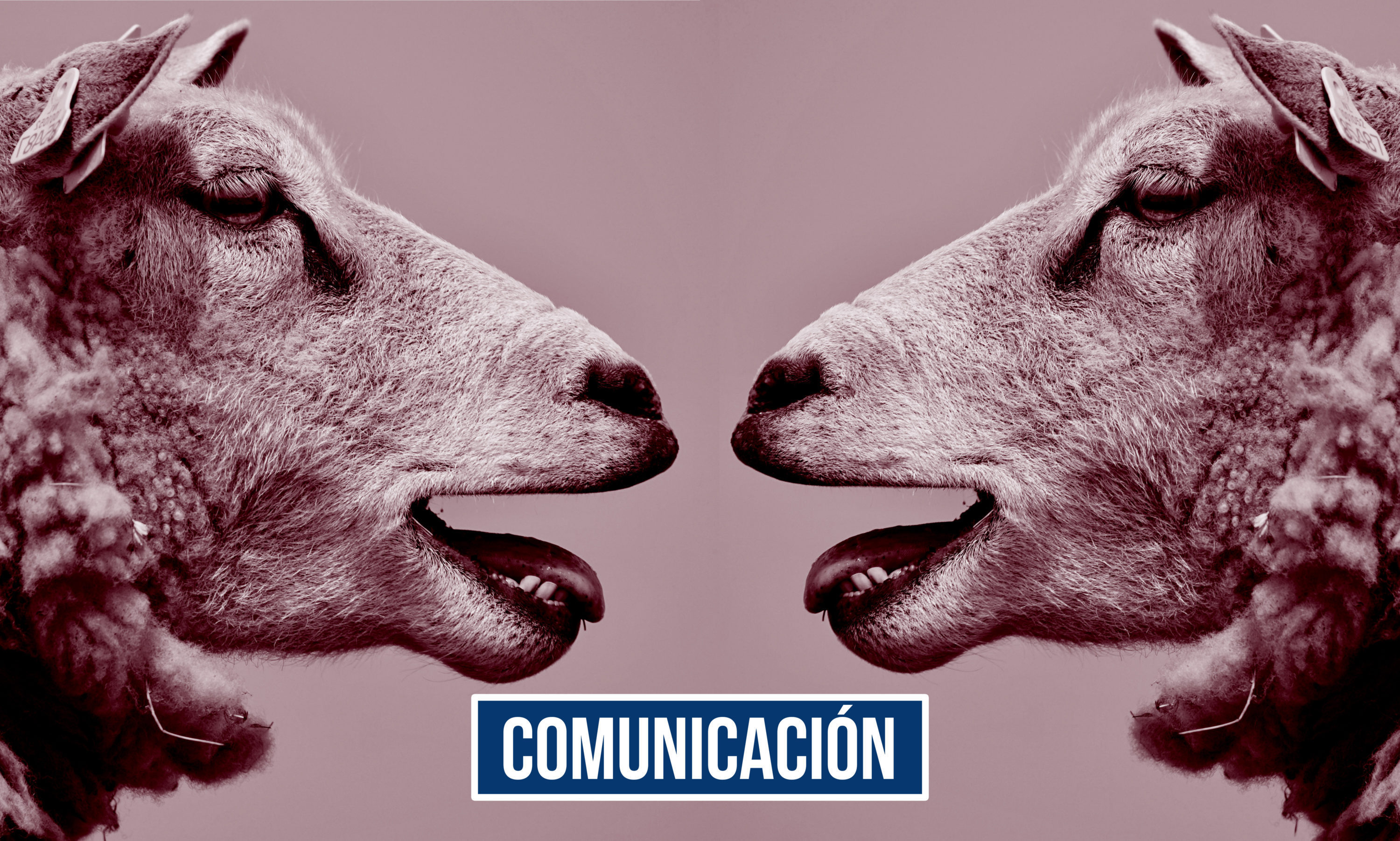 Agencia de comunicación BkMoving